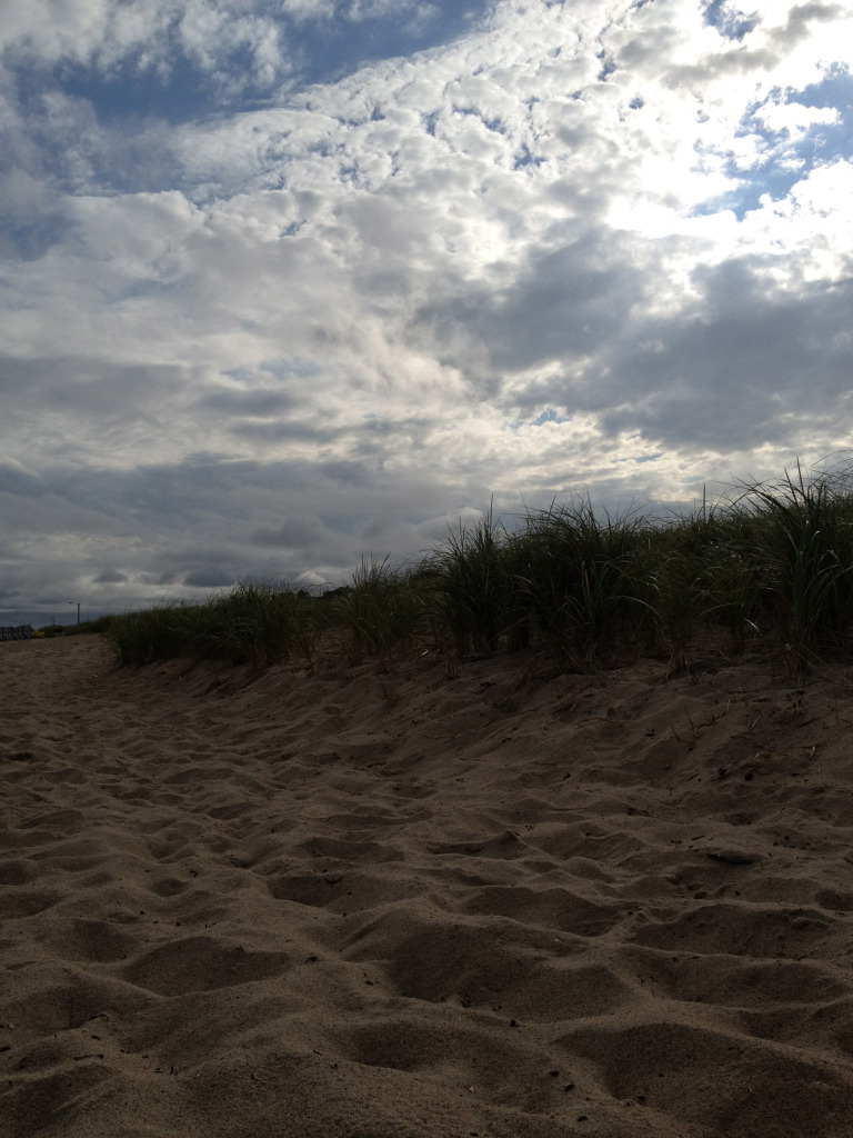 Sandy beach under cloudy sky with plants.