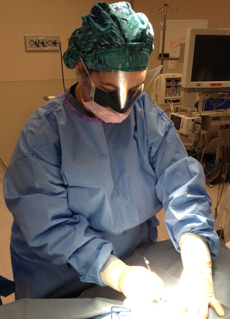 Dr. Kathy Hughes