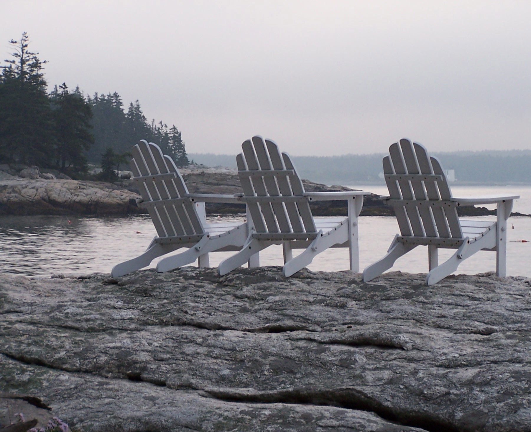 Maine coast, morning fog