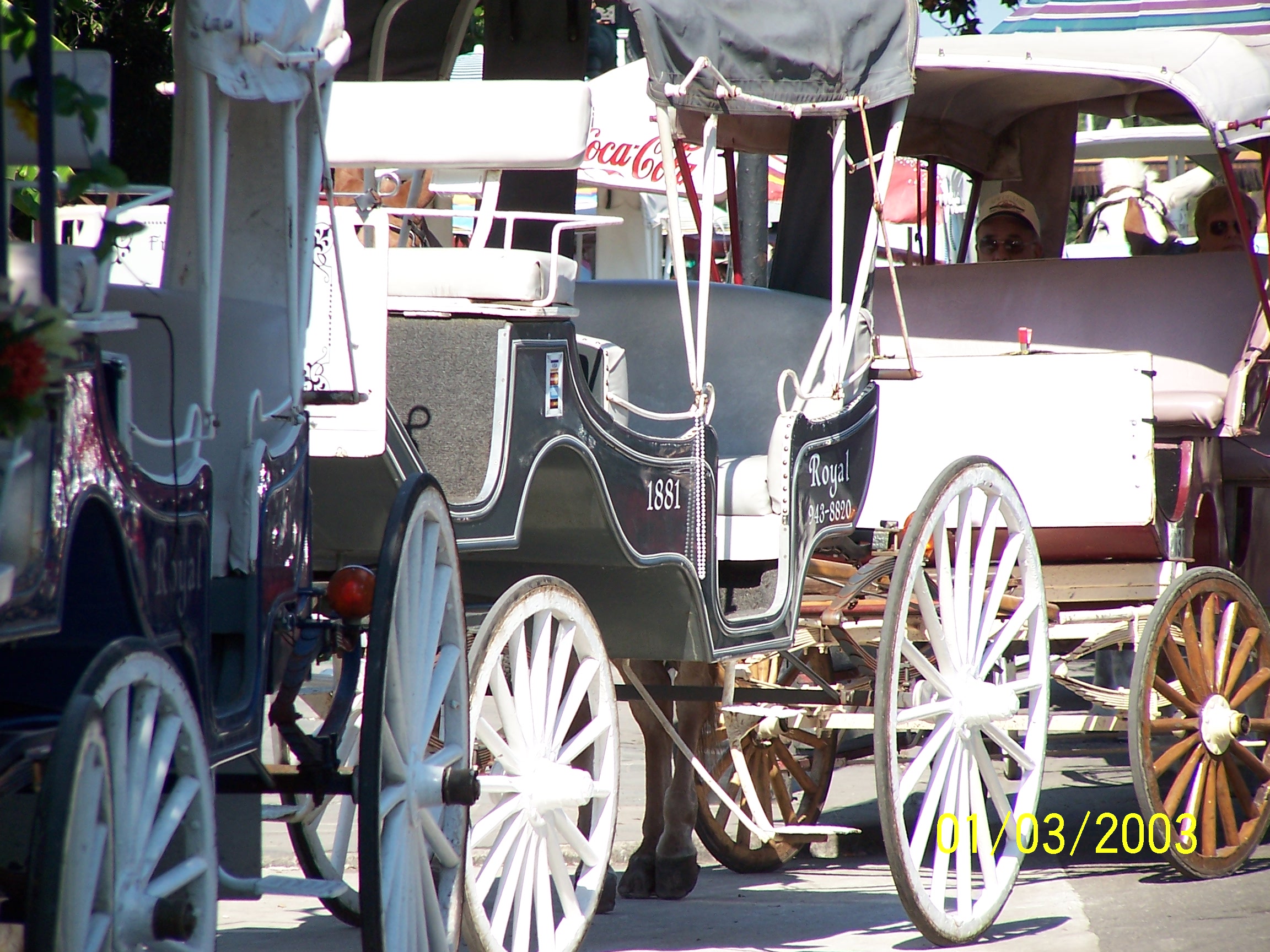 Carriage line, Jackson Square, New Orleans, LA