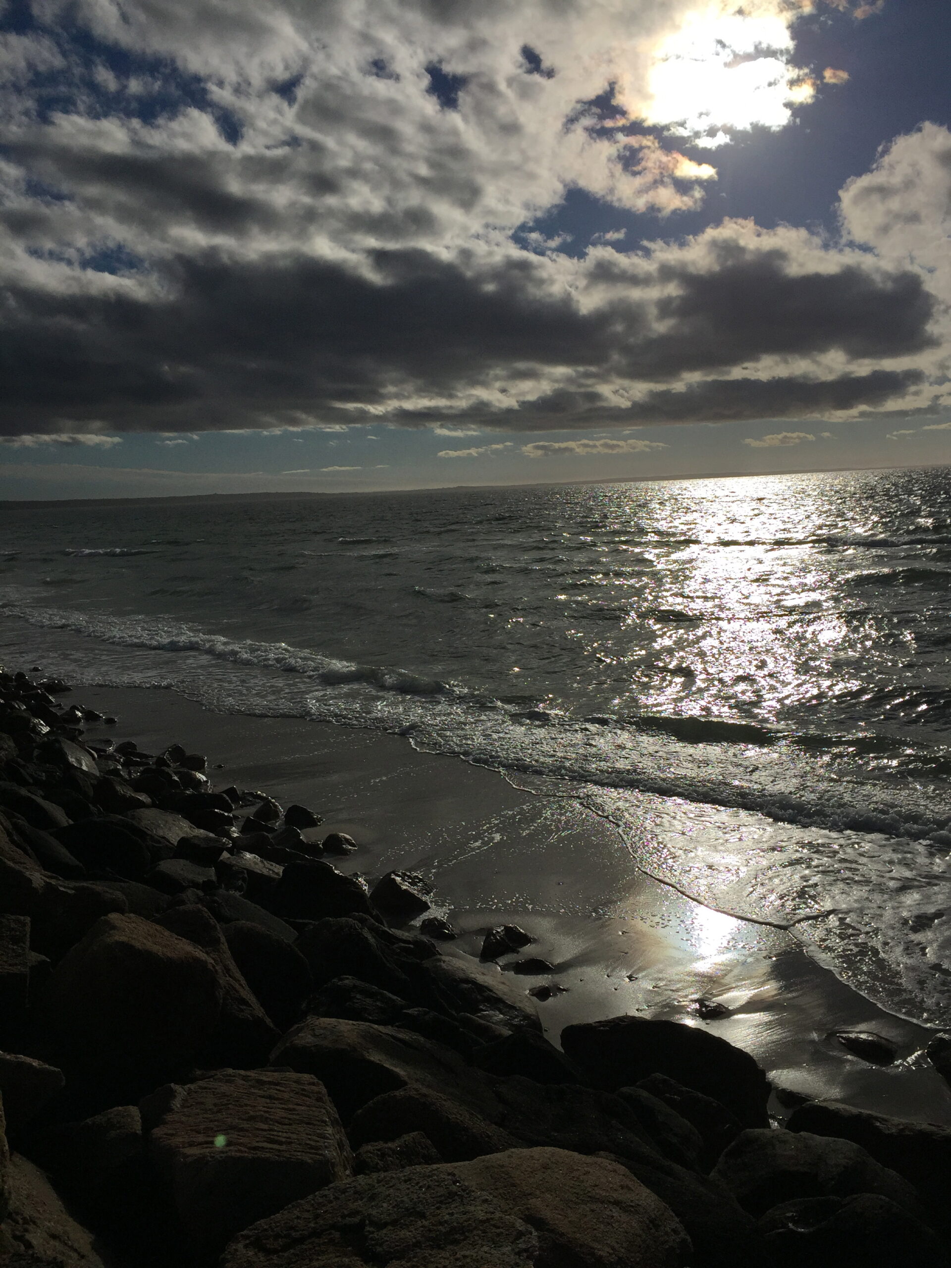 After the storm, Falmouth, MA